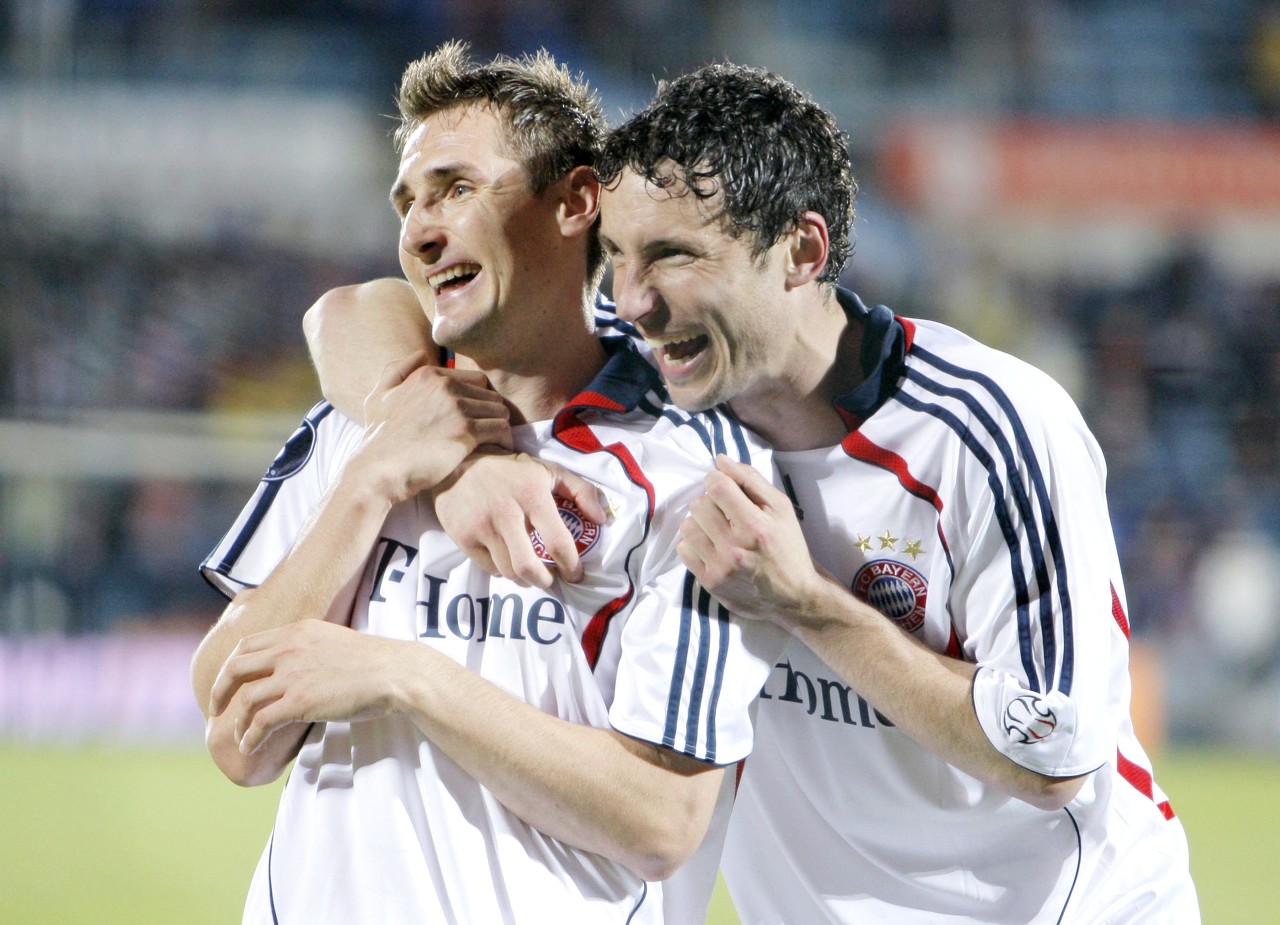 森林需要在 森林需要在