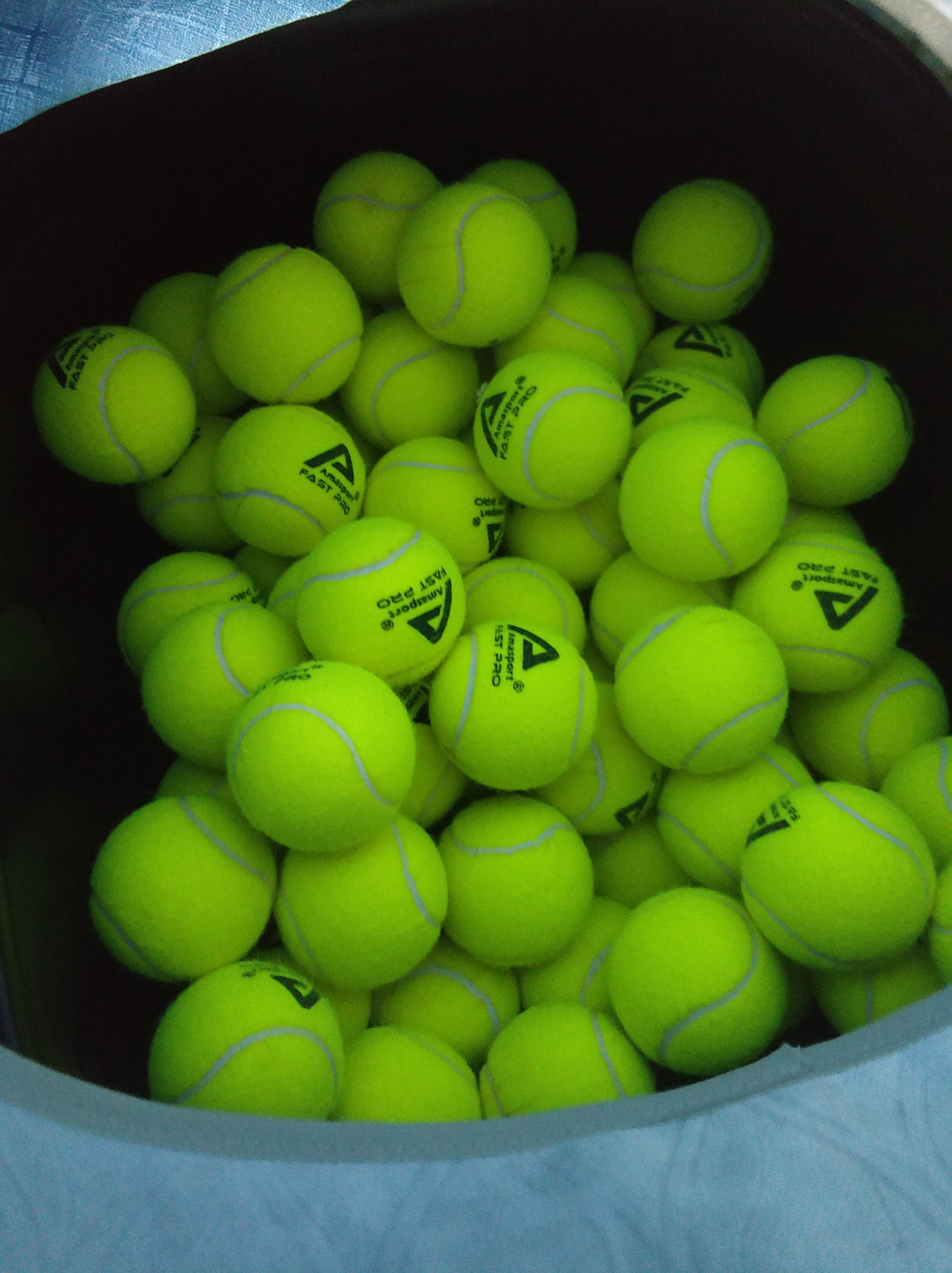 在这个夏窗 在这个夏窗