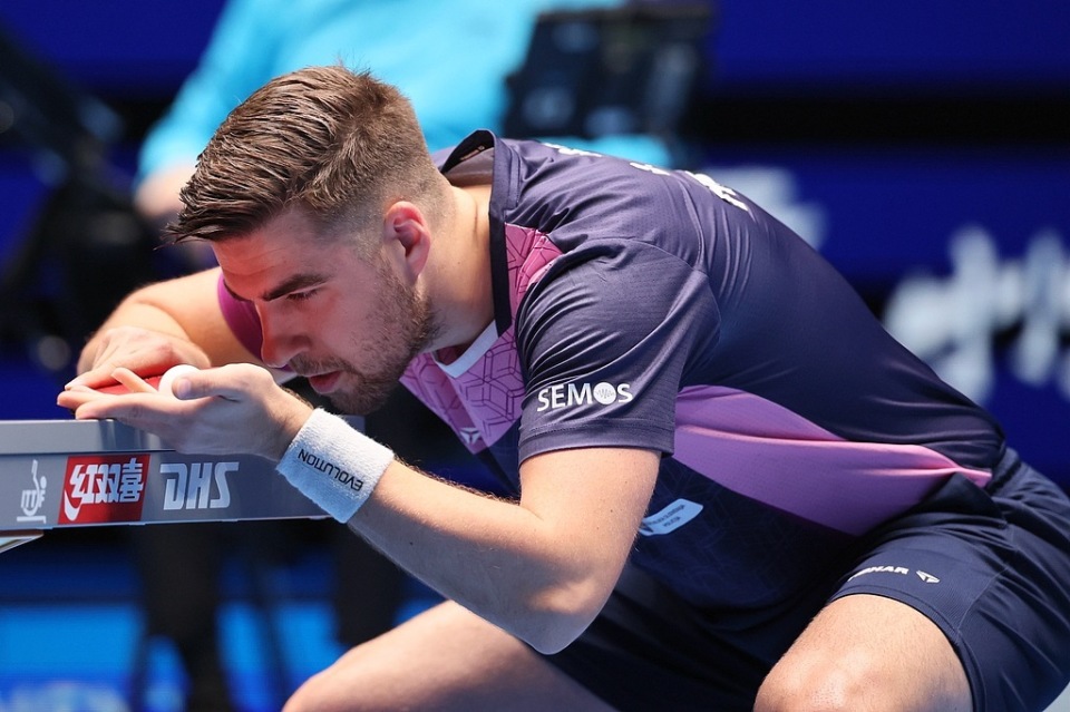 东尼去留的 东尼去留的