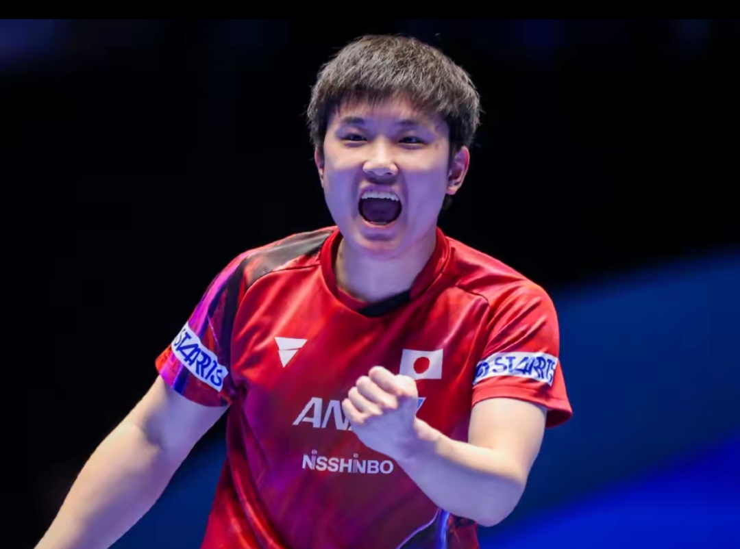 在刚刚落幕 在刚刚落幕